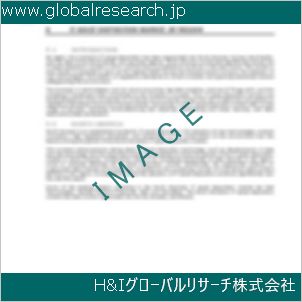 グローバルリサーチ調査資料のイメージ